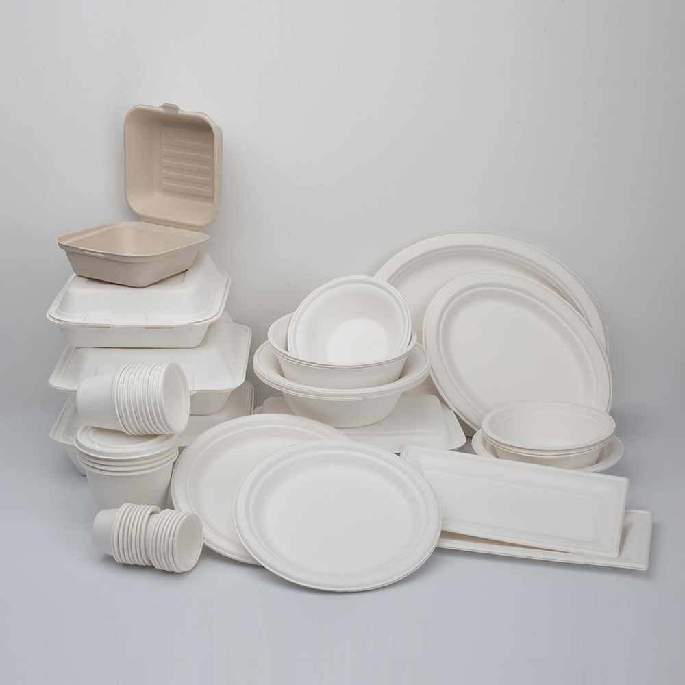 How Sugarcane Bagasse Tableware is Revolutionizing Eco-Friendly Dining