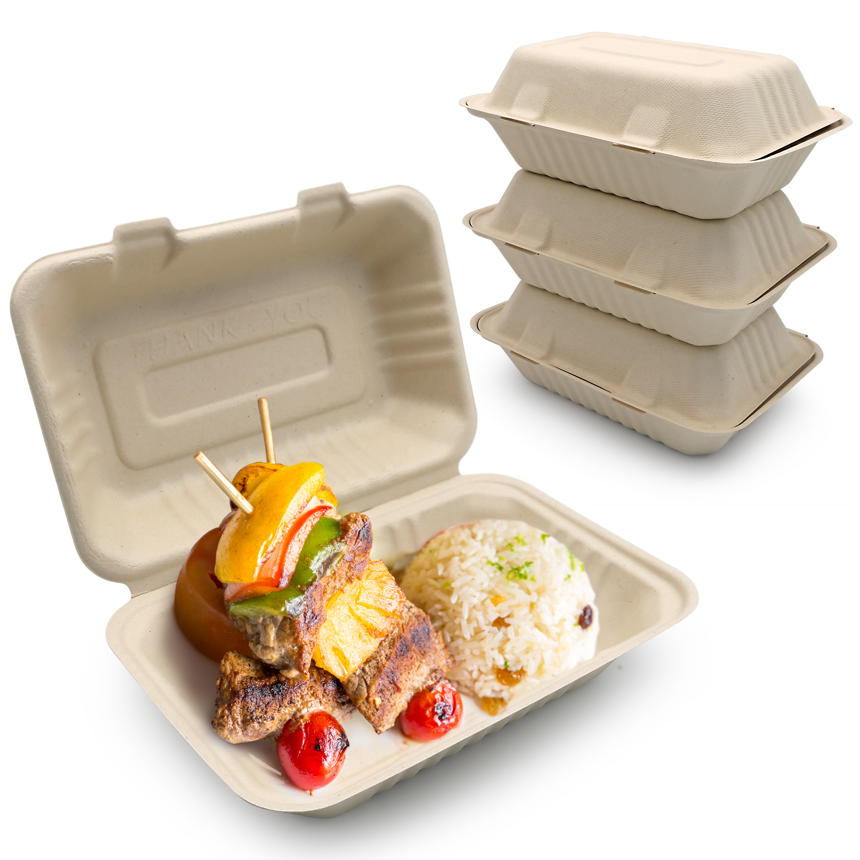 9*6 Inch Microwaveable Biodegradable Sugarcane Bagasse Fibre Pulp Paper Sugare Cane Lunch Box