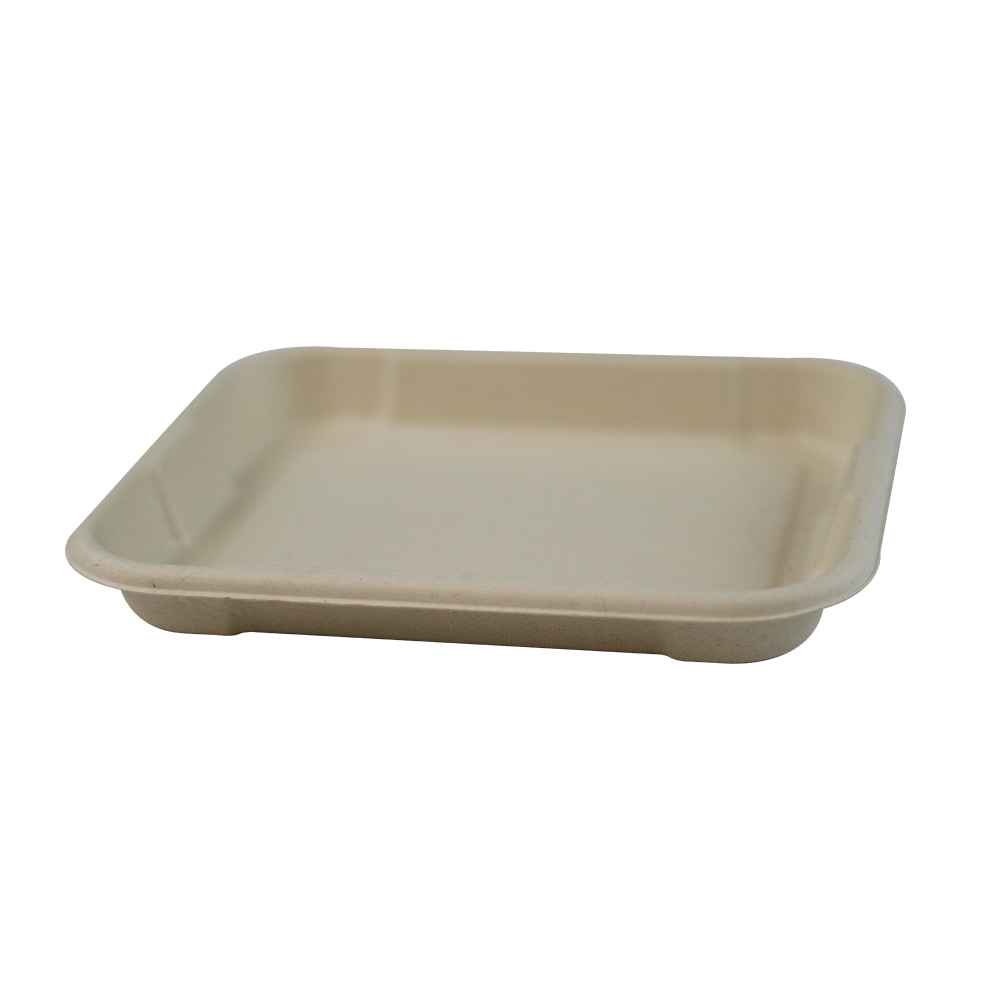 Small Size Biodegradable Takeout Sugarca