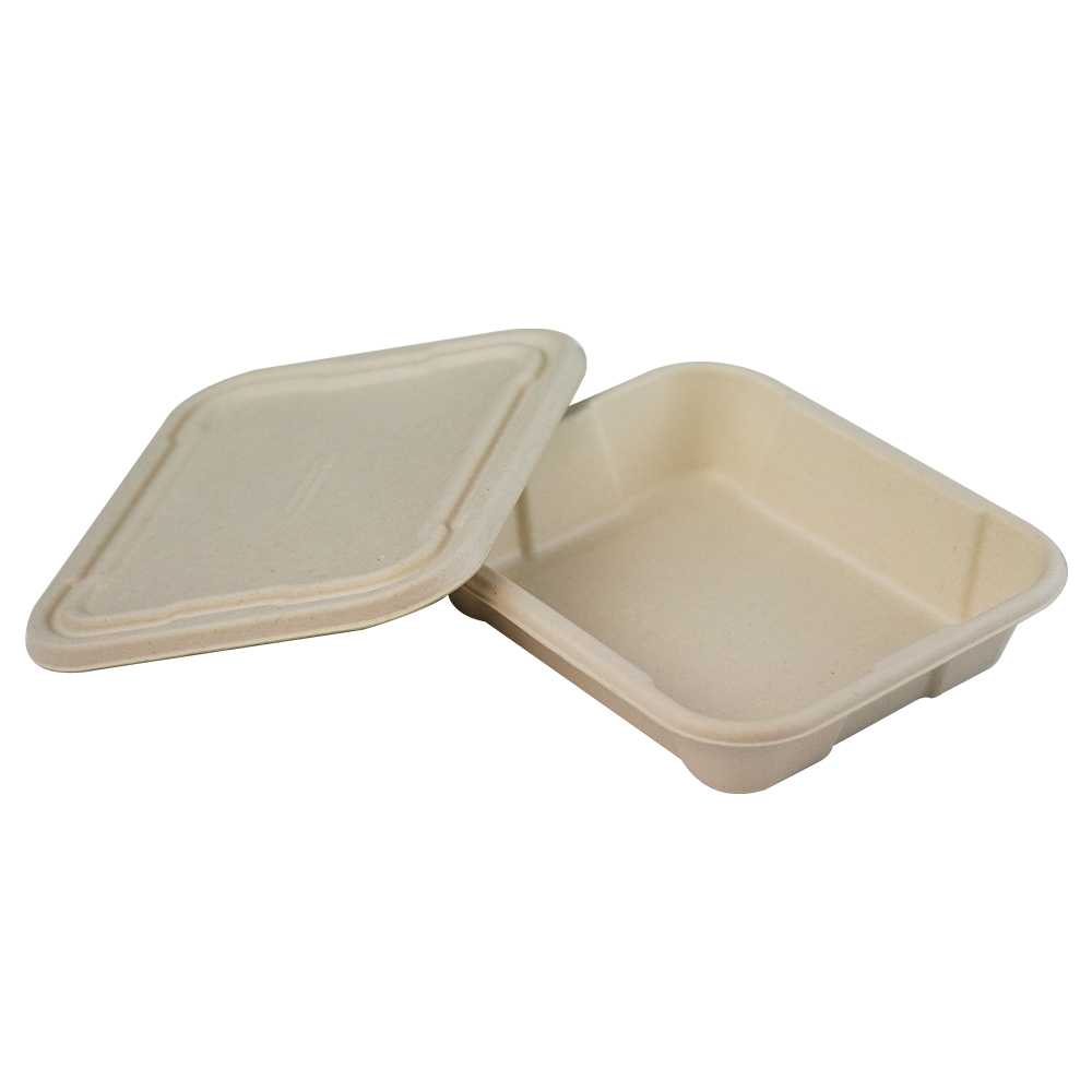Middle Size Biodegradable Takeout Sugarc