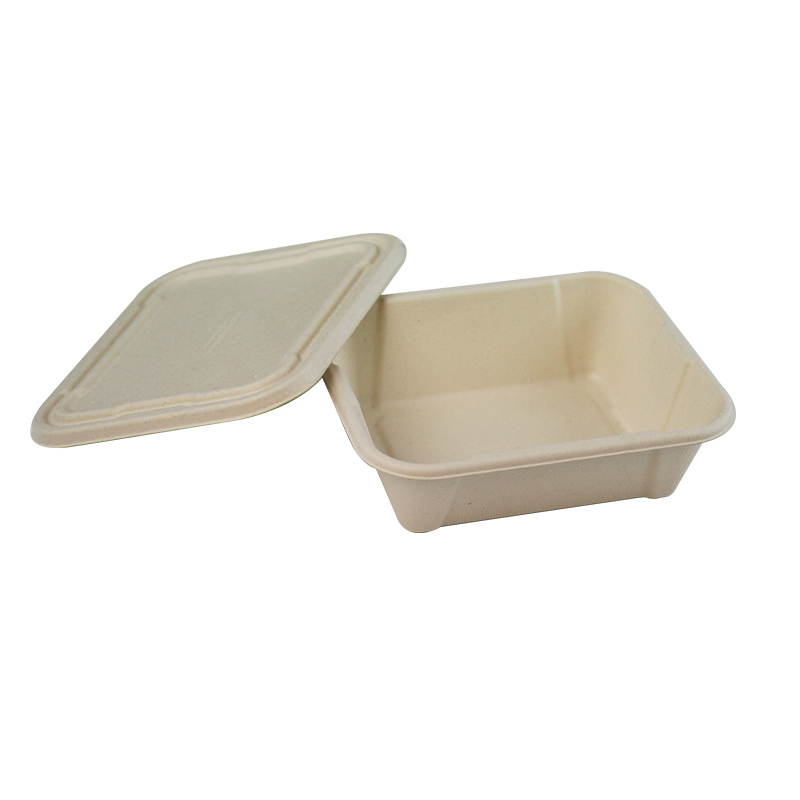 Big Size Biodegradable Takeout Sugarcane