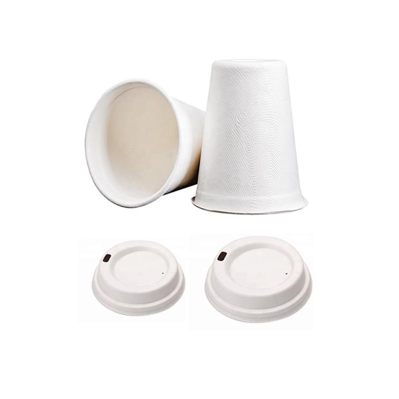 Customize 8 Oz Biodegradable Sugarcane B